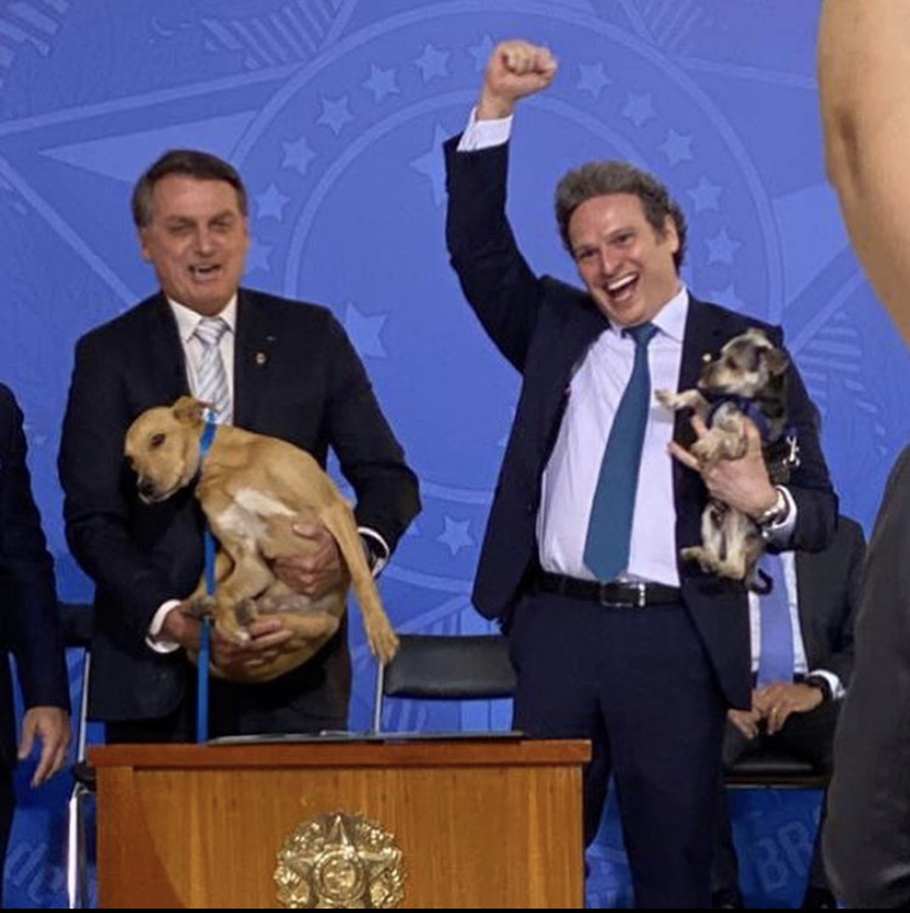 Bolsonaro sanciona lei que aumenta a punição de maus-tratos contra cães e gatos