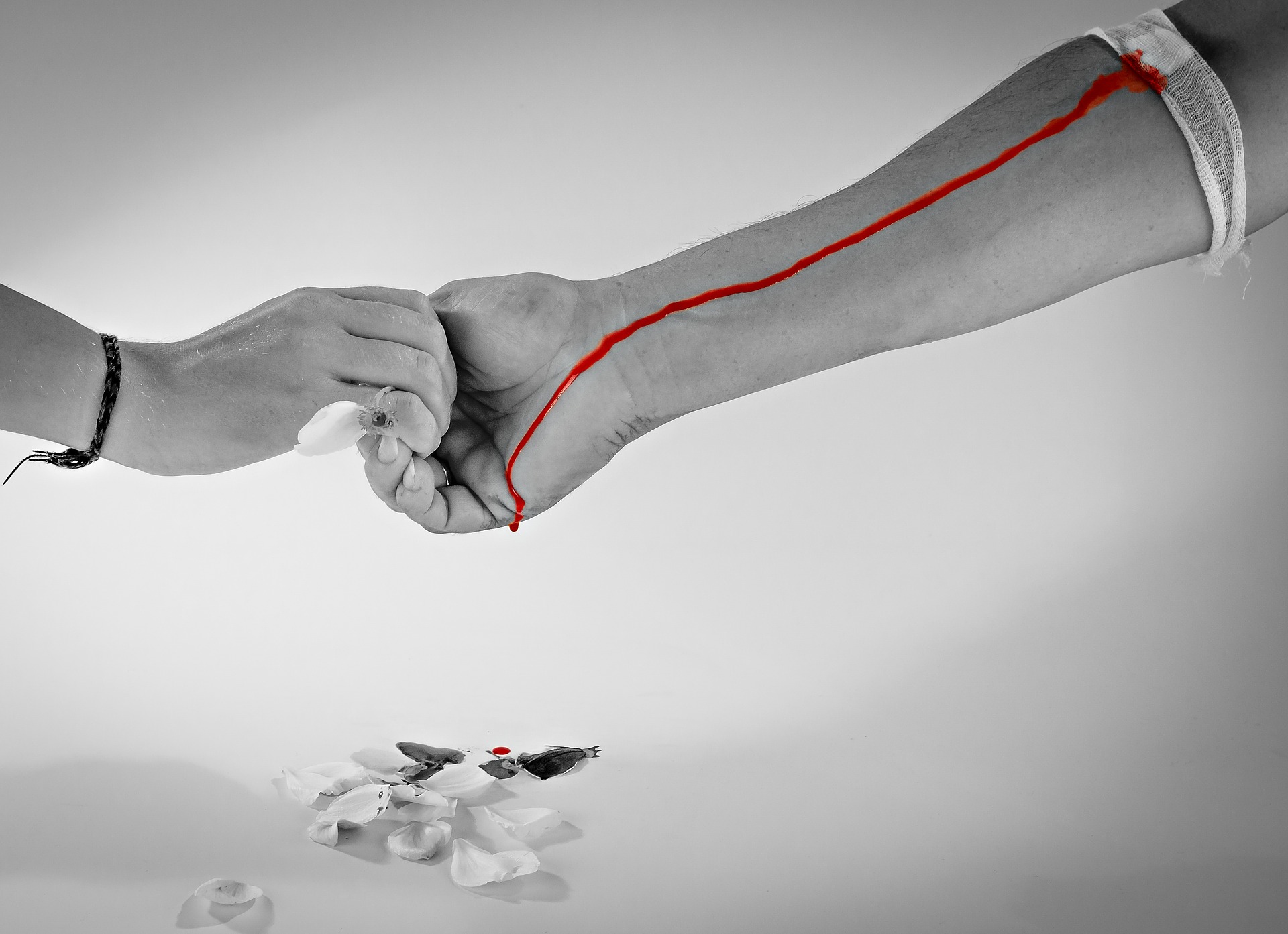 Hemoba inicia nesta terça-feira (08), campanha Doe Uma Gota de Carinho