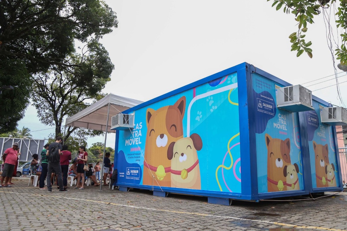 Castramóvel realiza atendimentos em Castelo Branco neste mês de abril