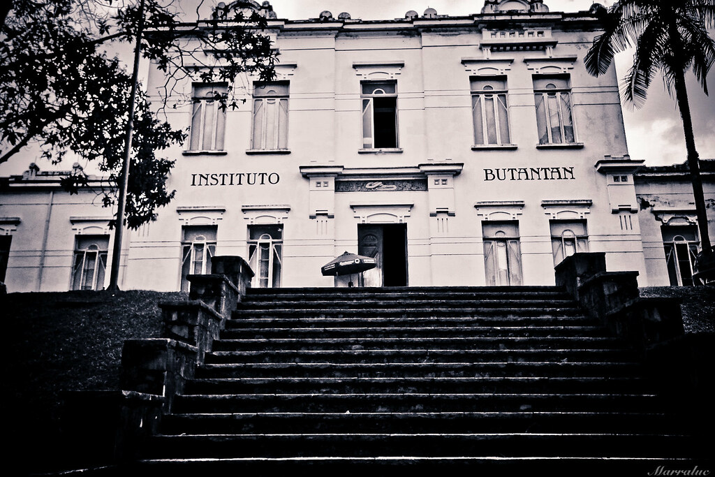 Butantan lançará aplicativo que detecta Covid-19 pelo celular