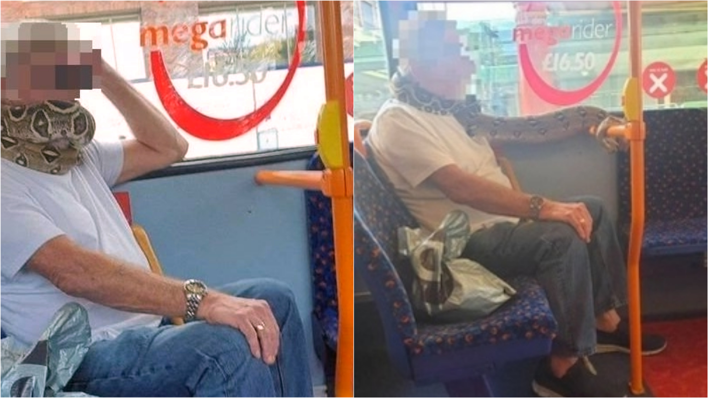Homem é flagrado usando cobra como máscara facial em ônibus na Inglaterra