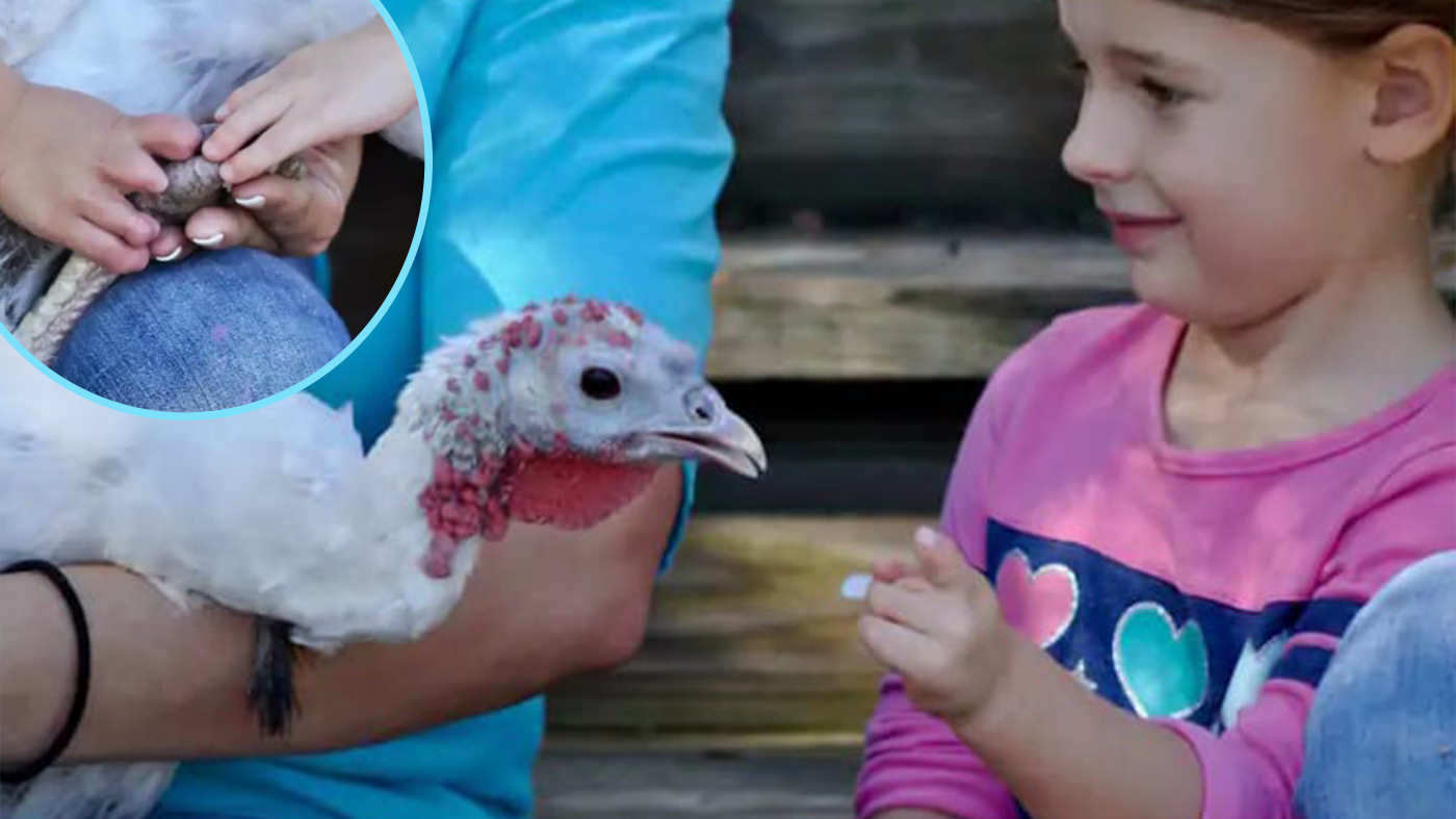 Menina com deficiência conhece peru com mesma condição física em santuário para animais rejeitados