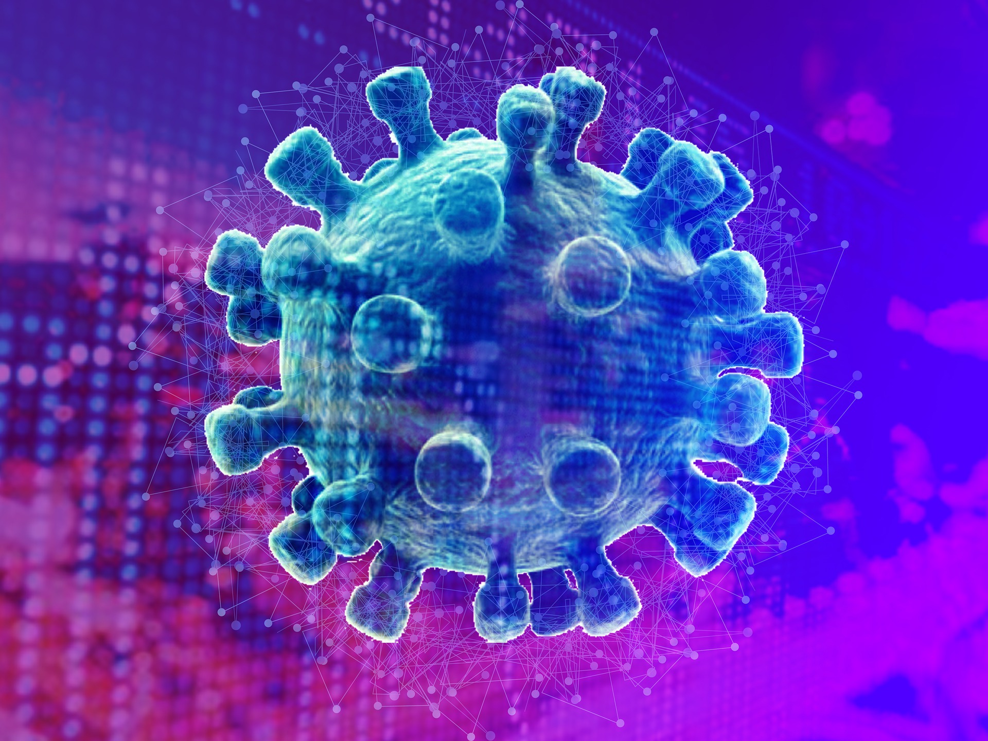 Transmissão de vírus raro entre humanos na Bolívia é confirmado e três pessoas morrem contaminadas