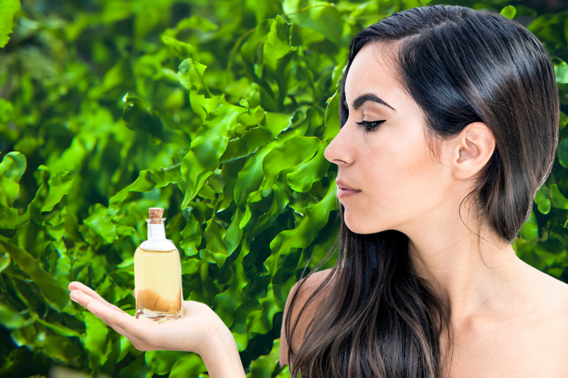 Novo óleo de origem orgânica e rico em ômega 9 deixa os cabelos mais belos e saudáveis