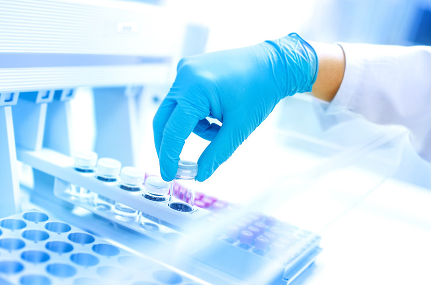 Pesquisadores desenvolvem projeto para identificar novos fungos na Mata Atlântica