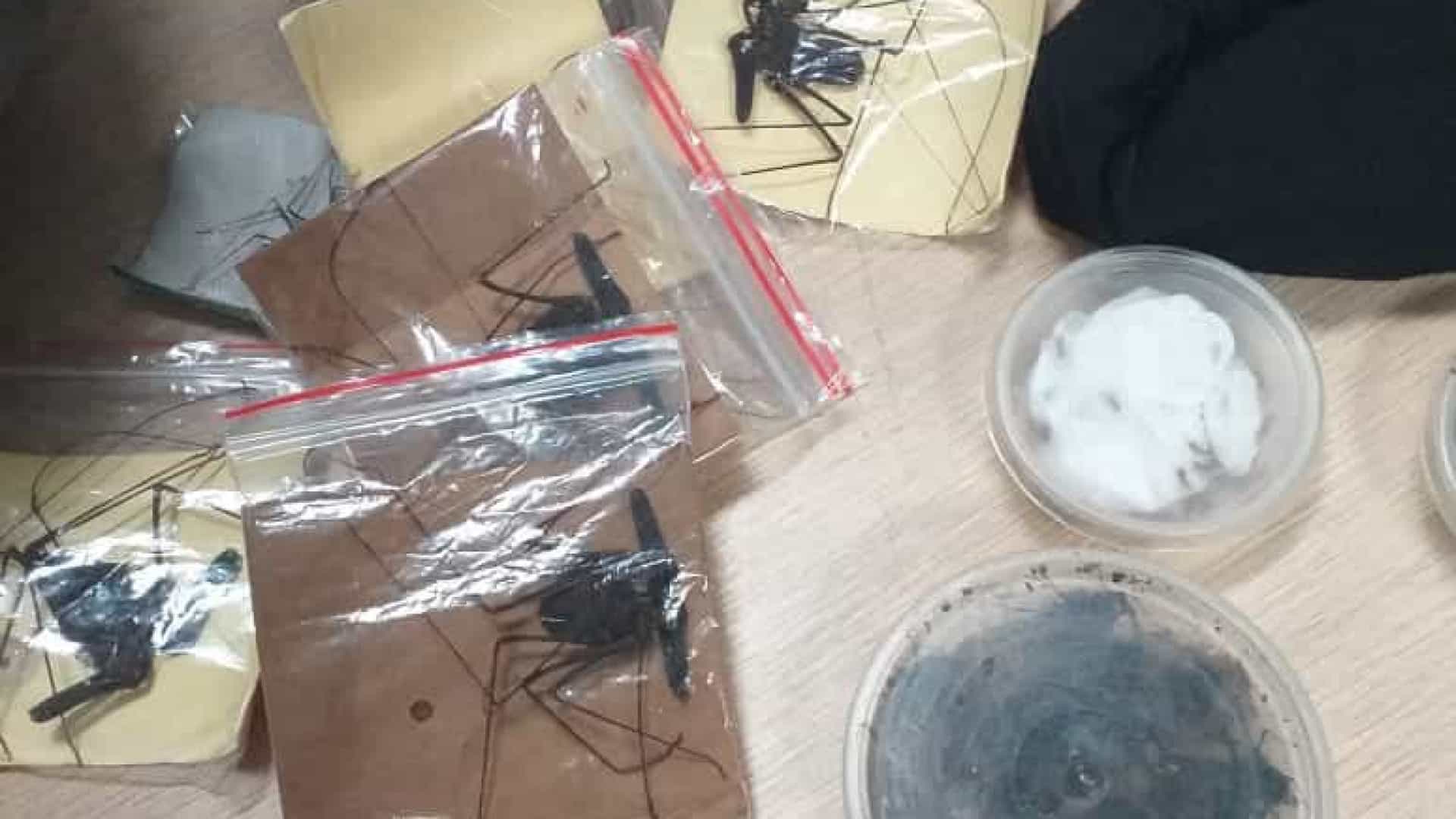 Receita Federal apreende mais de cem animais vivos em bagagem