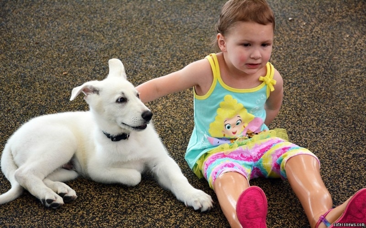 Cachorro que seria sacrificado por não ter as patas dianteiras é adotado por menina que possui a mesma deficiência