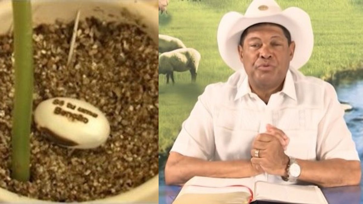 Justiça determina que Ministério da Saúde alerte sobre feijões que “curam” Covid-19