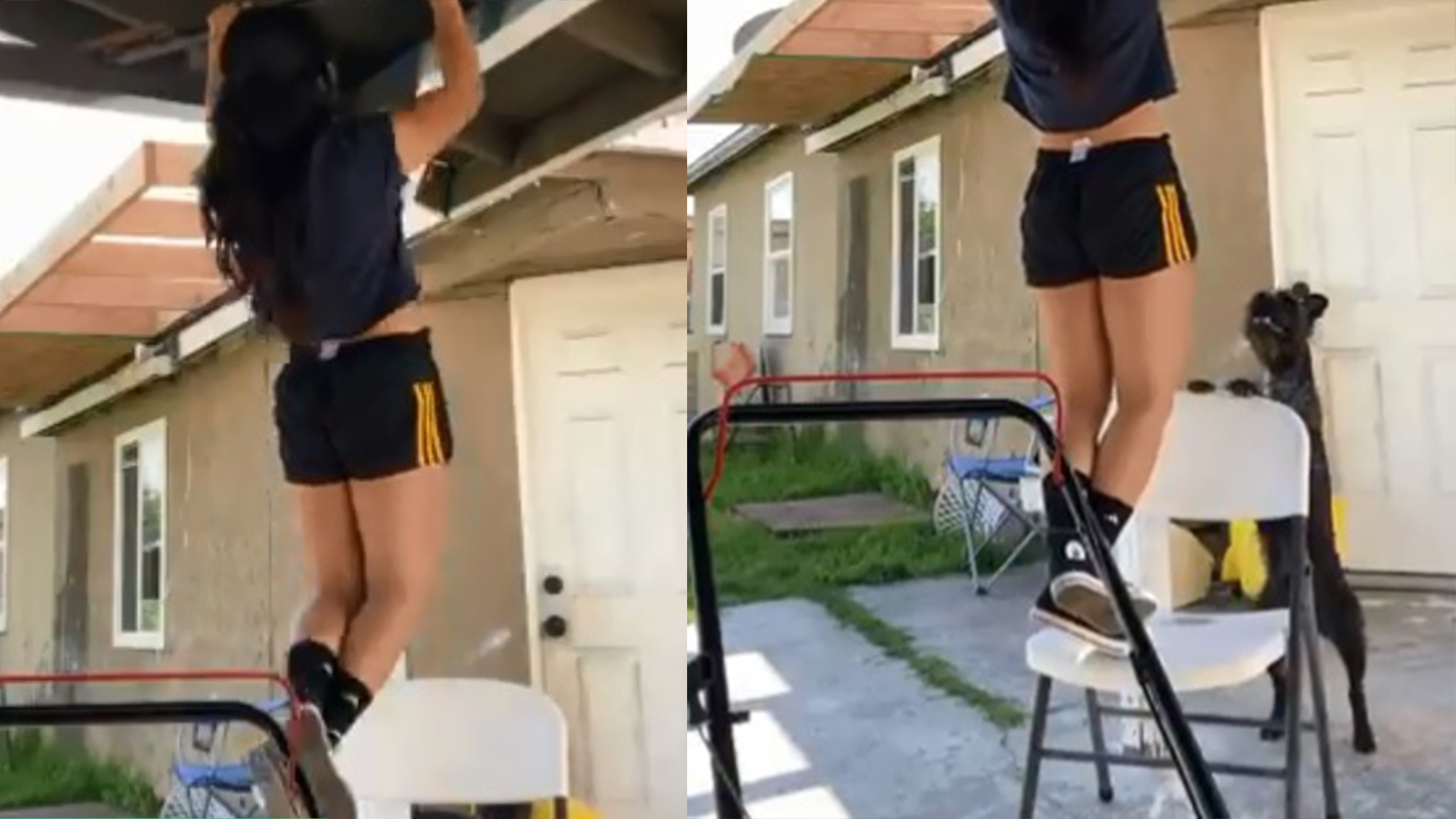 Cachorro empurra cadeira para ‘salvar’ tutora em treino e vídeo viraliza; Assista