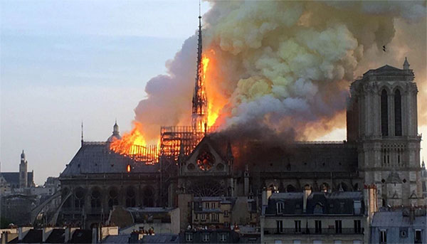 Autoridades florestais buscam árvores para reconstruir Notre-Dame