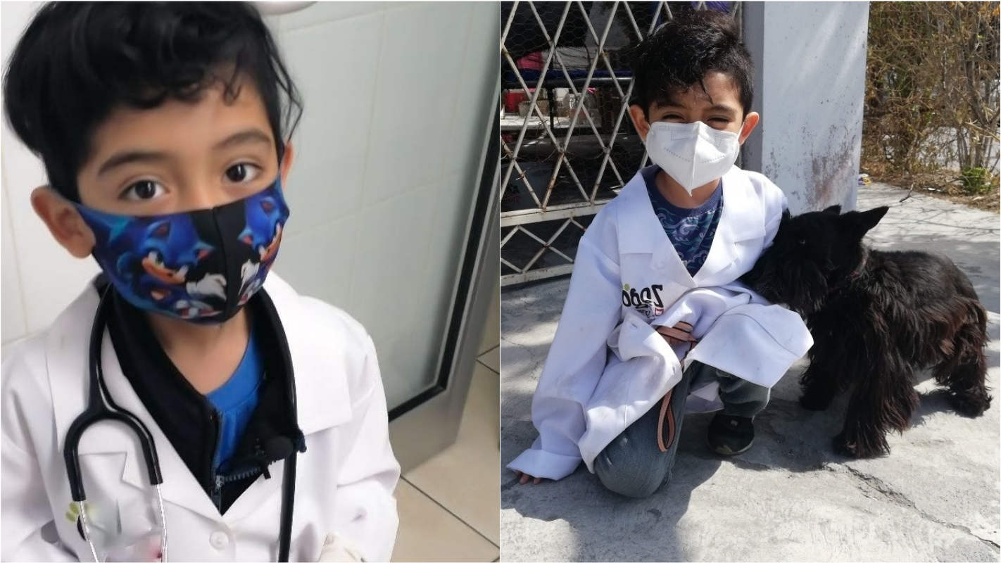 Menino abre pet shop para guardar dinheiro para faculdade de medicina veterinária