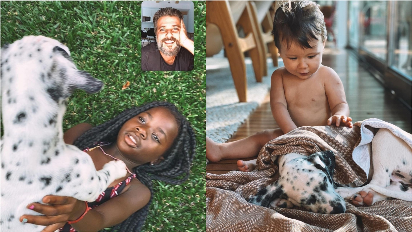 Bruno Gagliasso surpreende família com adoção de cadela que foi abandonada em abrigo