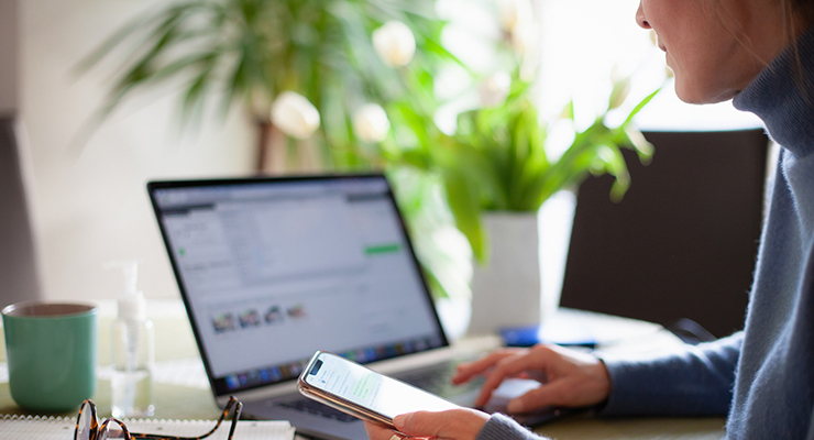 Sesab promove Curso de Formação Técnico em Entomologia