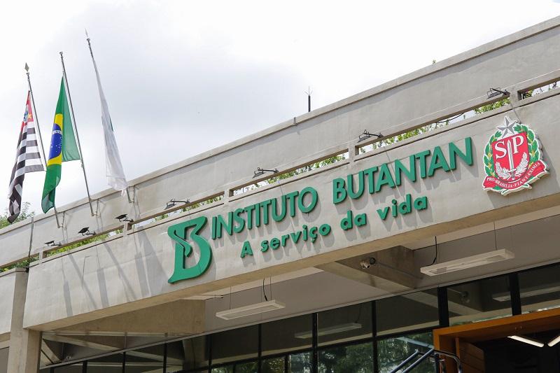 Butantan busca voluntários para testes da vacina da chikungunya