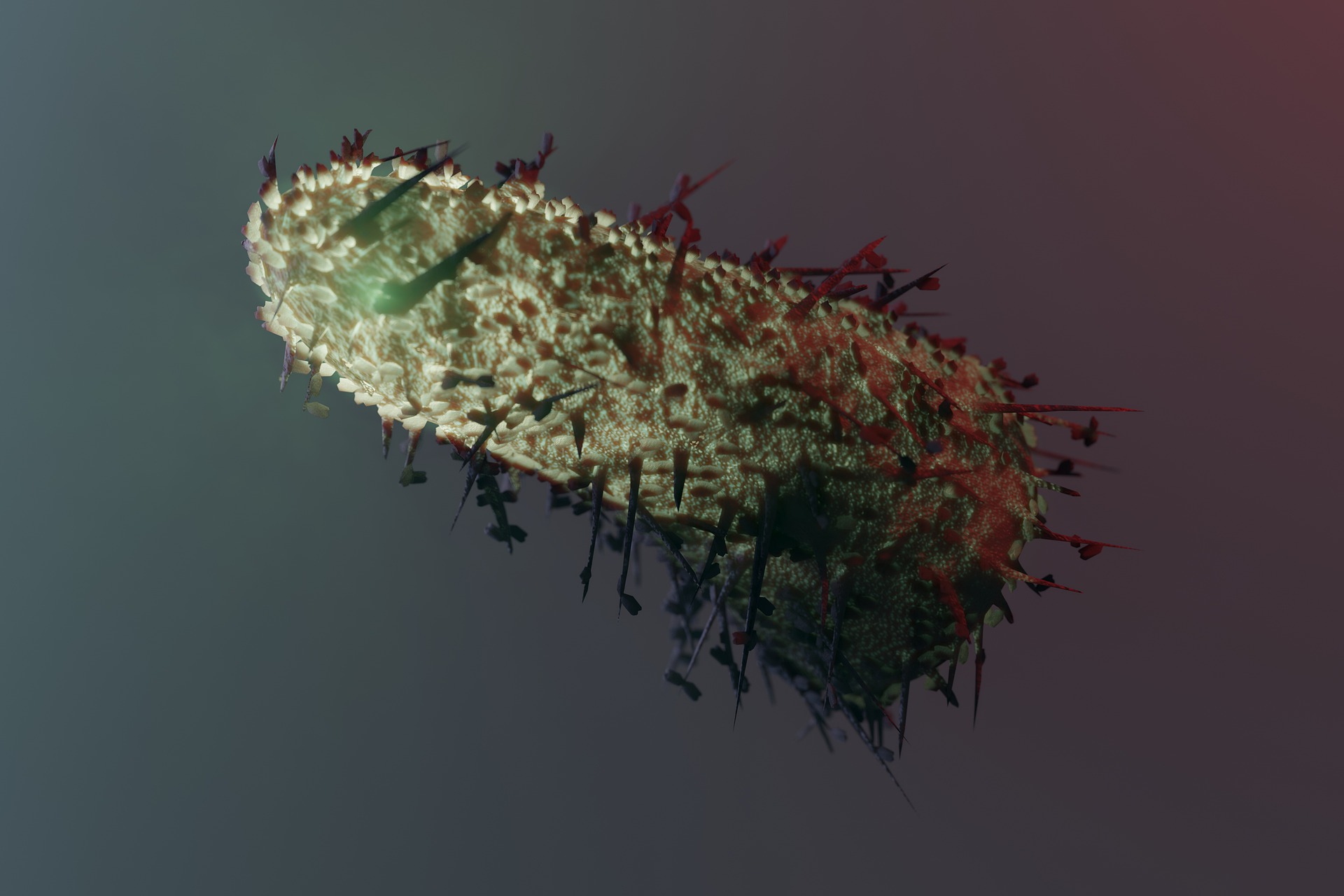 Após 26 anos laboratório do Rio de Janeiro registra caso de raiva animal