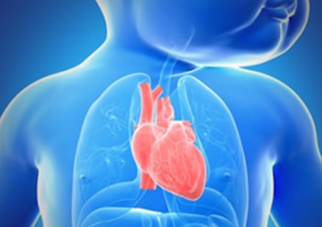 SUS amplia atendimento a crianças com doenças cardiovasculares congênitas