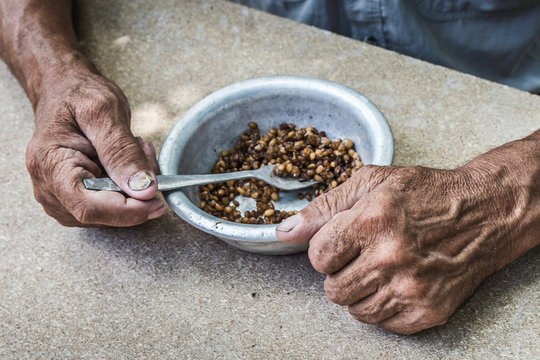Insegurança alimentar e desnutrição no mundo aumentou com a pandemia, diz ONU