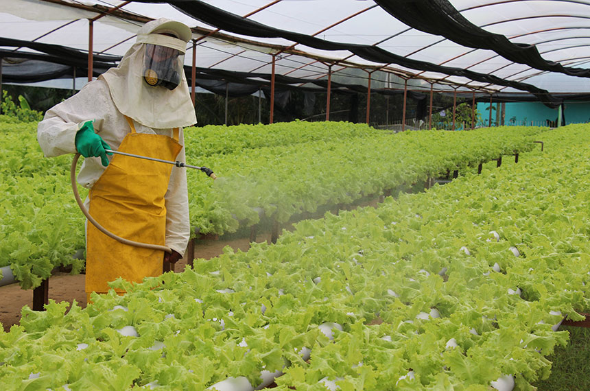 Projeto de Fundo Agrícola da ONU investirá US$ 900 milhões no Brasil