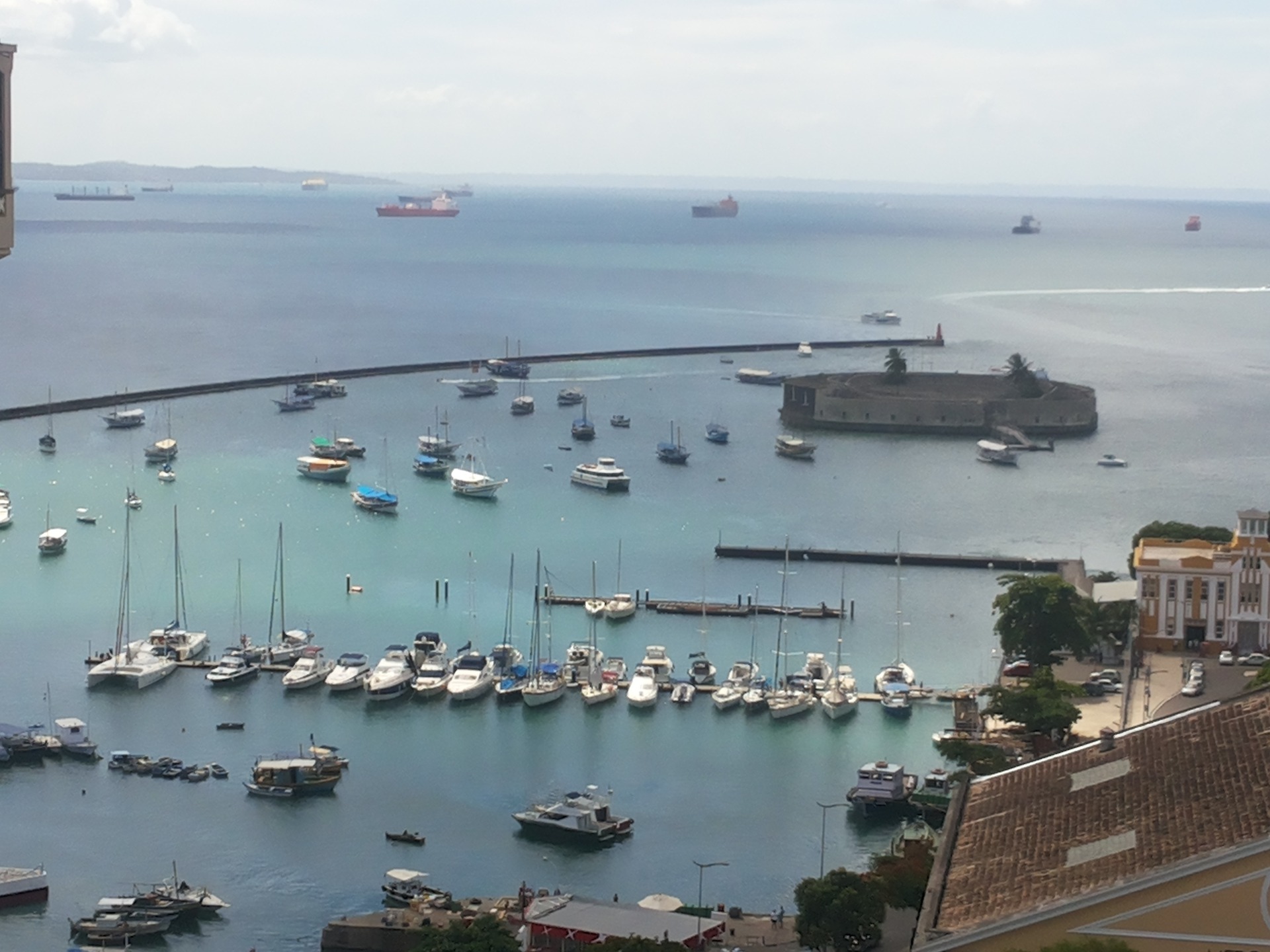 Campanha estimula preservação e sustentabilidade na Baía de Todos-os-Santos