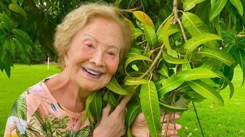 Glória Menezes tem alta após tratamento contra a Covid em SP