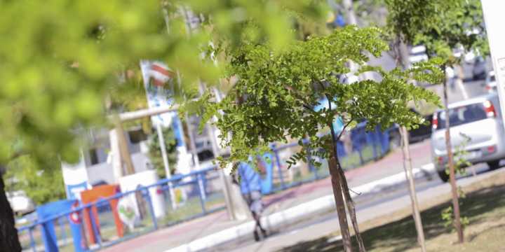 Semana da Sustentabilidade é realizada até sábado (25); Confira a programação