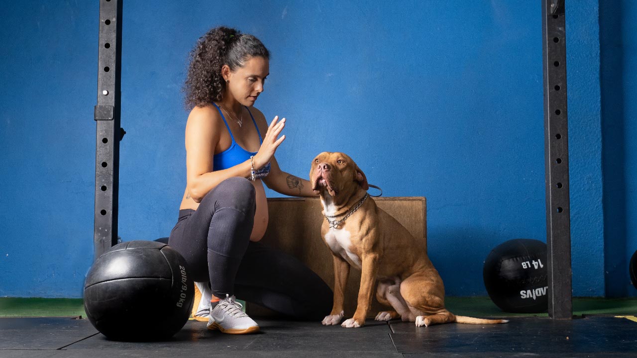 Evento oferece vermifugação gratuita para os animais em Salvador; Confira