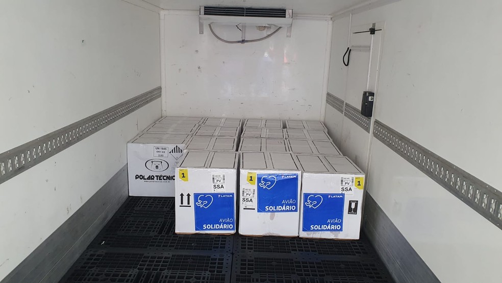 Primeiro lote com vacinas da Pfizer para crianças chega à Bahia