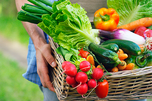 Secis abre novas inscrições para o Horta em Casa nesta quinta (16)