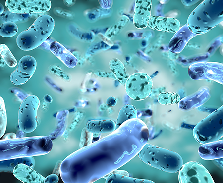 Fungo tóxico pode estar desencadeando síndrome do intestino irritável