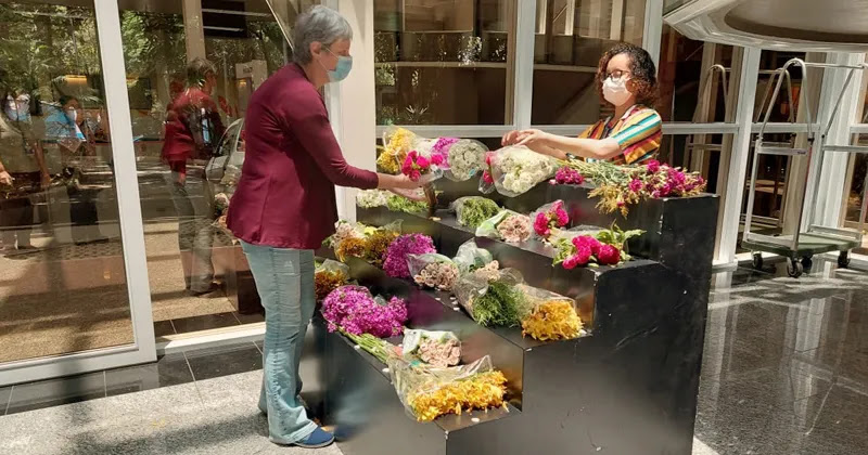 Projeto usa flores para ajudar na reabilitação de pacientes psiquiátricos