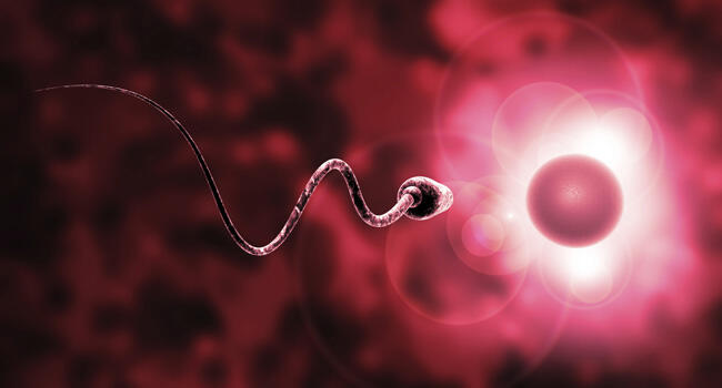 Médicos do IVI Salvador levam temas da reprodução assistida na Bahia e Pernambuco