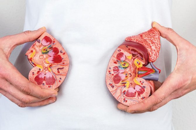 Novo tratamento pode destruir pedras nos rins com ondas sonoras, aponta estudo