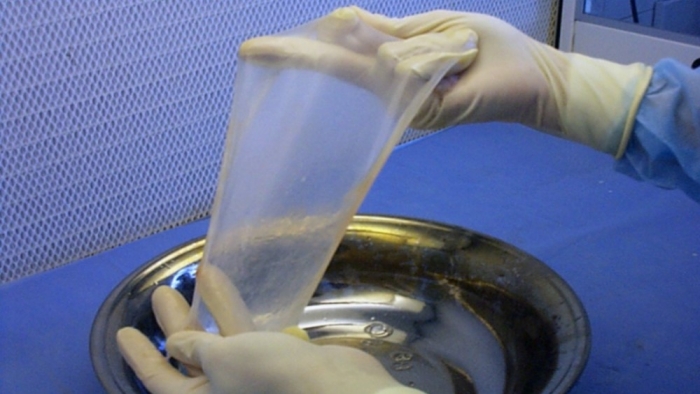 Membrana amniótica pode ser utilizada para recuperação de tecidos e acelerar cicatrização, diz especialista