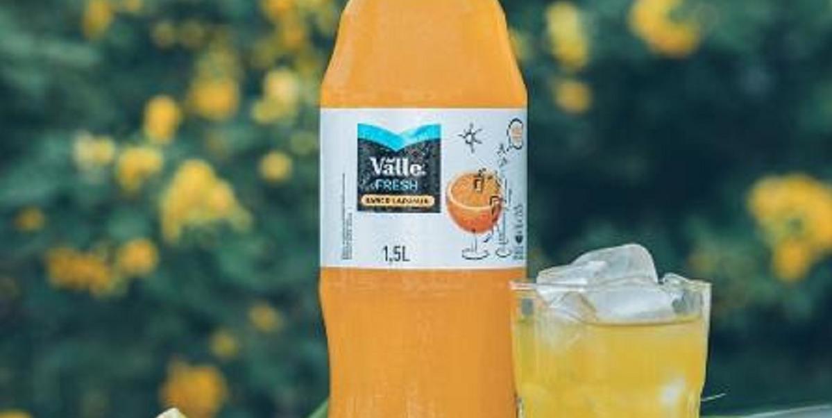 Procon proíbe Coca-Cola de vender bebida Del Valle Fresh no Distrito Federal