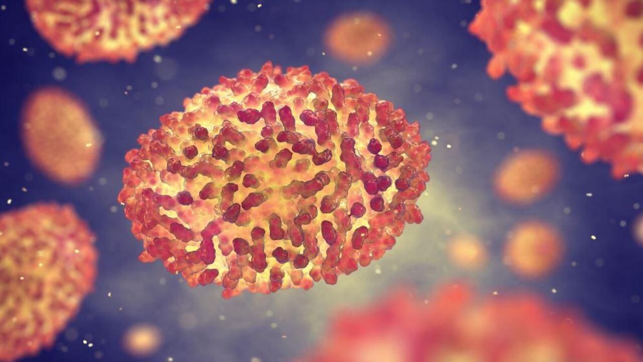 Cientistas solicitam mudança do nome varíola dos macacos e suas diferentes cepas