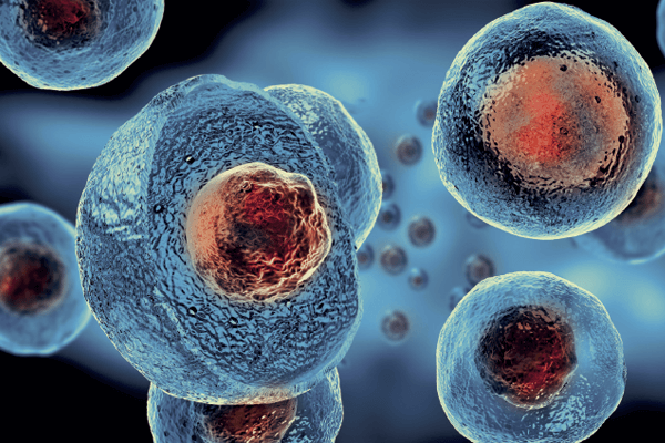 Programa de terapia celular para tratamento de câncer é lançado em SP