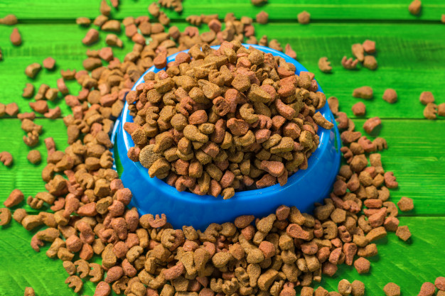 Distribuição gratuita de ração animal beneficia protetores de baixa renda