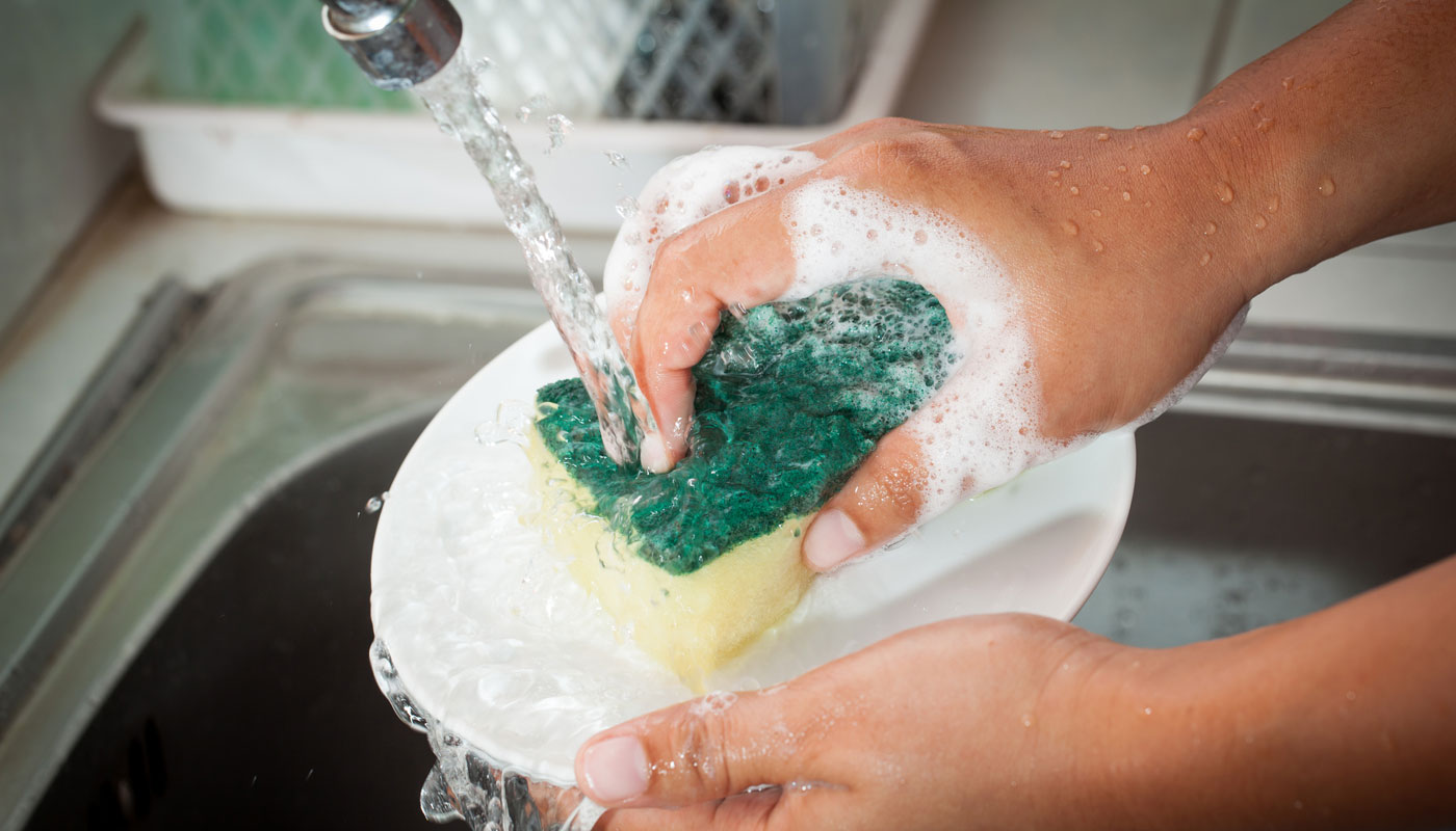 Esponja de cozinha pode não ser o jeito mais higiênico de lavar a louça, aponta estudo