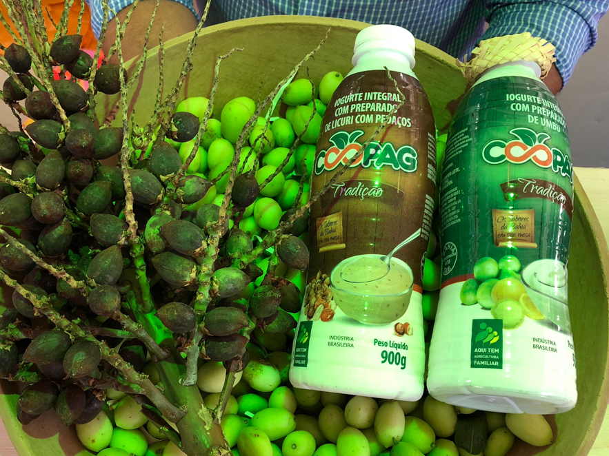 Iogurtes com sabores da Caatinga chegam à Feira Naturaltech 2022