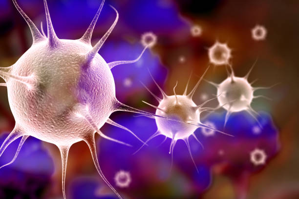 Mononucleose chama a atenção pela febre e dor de garganta intensa e prolongada