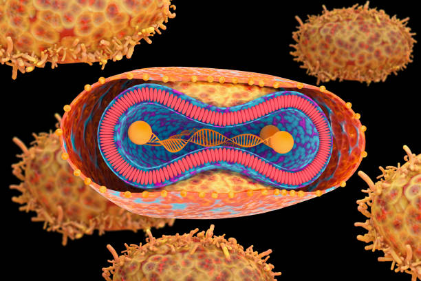 Ministério da Saúde de Cuba confirma primeira morte por varíola dos macacos