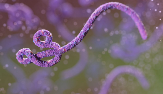 Autoridades de Saúde do Congo declaram ressurgimento do Ebola