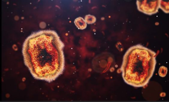 OMS anuncia novos nome para variantes da Varíola dos Macacos