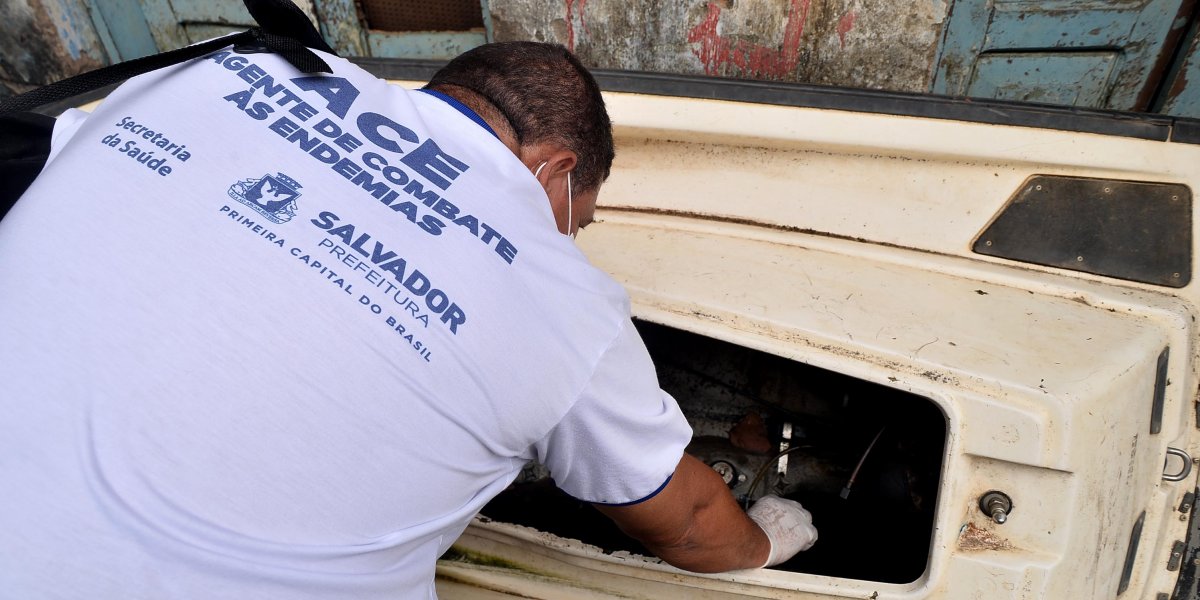 CCZ  intensifica ações para combater focos de dengue em Salvador