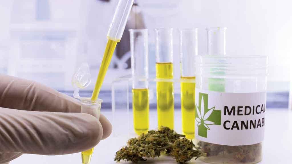 MPF investiga legalidade de nova resolução do CFM para utilização do canabidiol