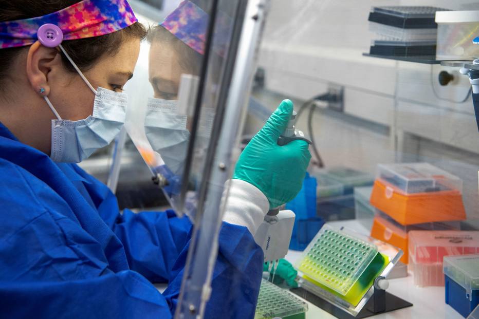 Duas linhagens da subvariante BQ.1 são identificadas no Brasil