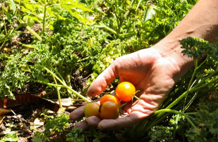 Salvador oficializa assinatura do Pacto de Milão