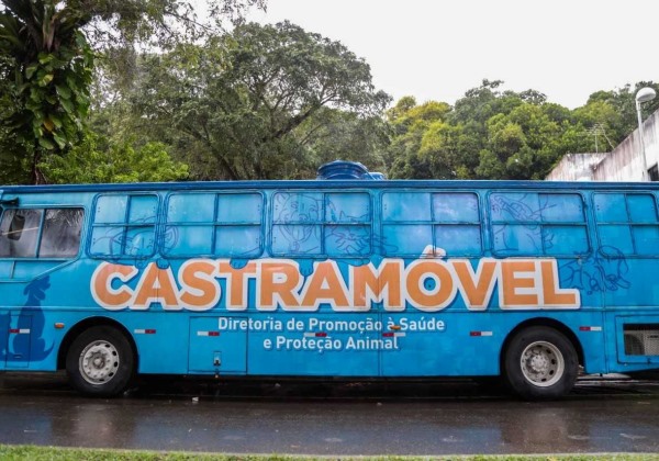 Castramóvel inicia castrações gratuitas para cães e gatos no Resgate