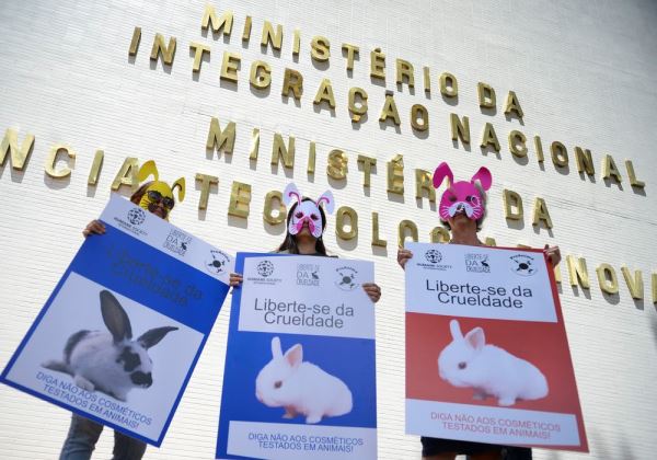 Governo proíbe uso de animais em testes de cosméticos e produtos de higiene