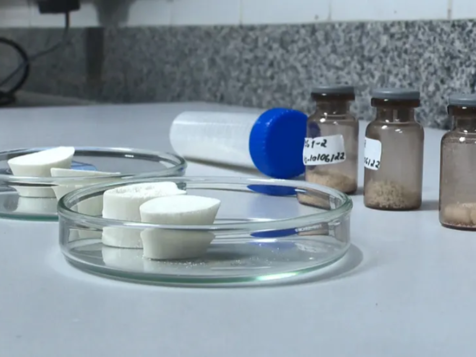 Pesquisadores da UFES usam ossos de boi para criar enxerto para humanos